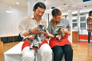 保護猫 にゃんともハッピー 里親探しにカフェ開設 ニュース和歌山