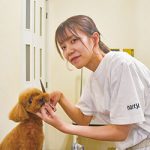 お仕事図鑑 〜 トリマー　ペットサロン naity.　岡野 真歩さん