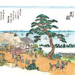 岩代の結び松 ㊴切目中山王子・岩代王子